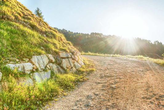 Les 9 avantages à courir le matin