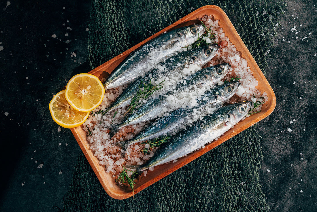 Sardines : 10 raisons d’en manger plus souvent